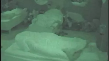 Chrissyフォックス、ダフネ-クライドオーディトリアムの遊びするとともに、そのベッド ユーチューブ 映画 無料 ホット ロード