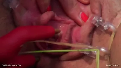 Vixen最後にひとついて ドラマ ユーチューブ 無料